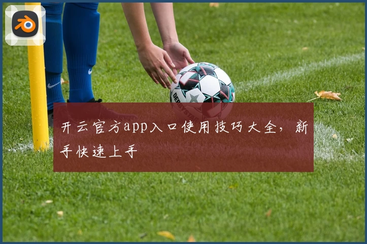 开云官方app入口使用技巧大全，新手快速上手