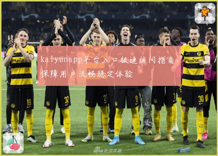 kaiyunapp平台入口极速访问指南，保障用户流畅稳定体验