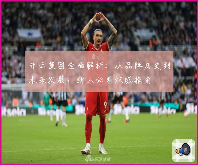 开云集团全面解析：从品牌历史到未来发展，新人必看权威指南