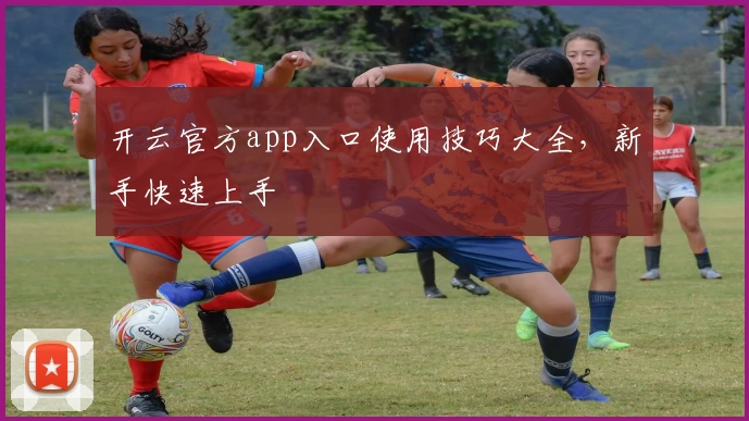 开云官方app入口使用技巧大全，新手快速上手